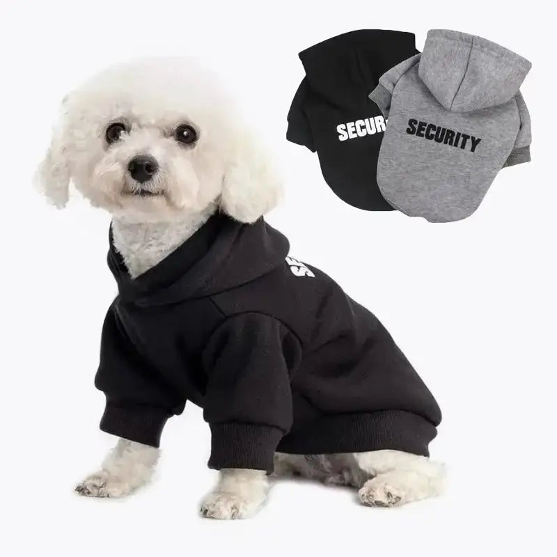 Chic Canine Couture - PetsPaw Needs Love