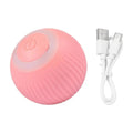Smart Pet Play Sphere - PetsPaw Needs Love