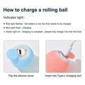 Smart Pet Play Sphere - PetsPaw Needs Love