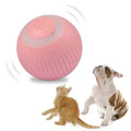 Smart Pet Play Sphere - PetsPaw Needs Love