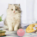 Smart Pet Play Sphere - PetsPaw Needs Love